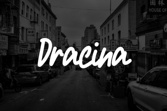 Dracina: A Modern Elegant Typeface for Branding and Design Projects