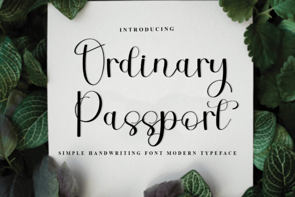 Finding a Friendlier Font: My Experience Testing Ordinary Passport