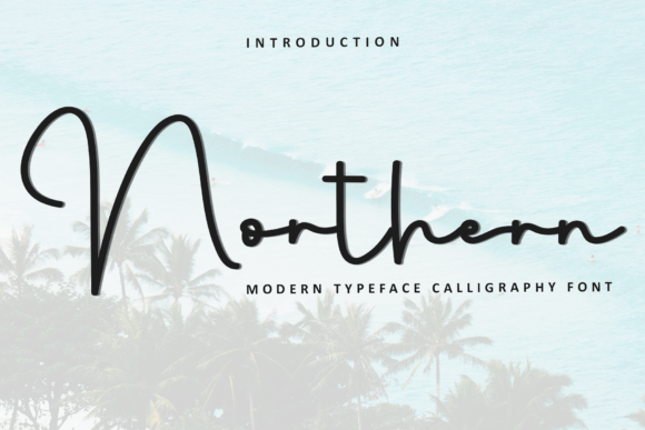 Northern Is a Warm and Approachable Modern Script